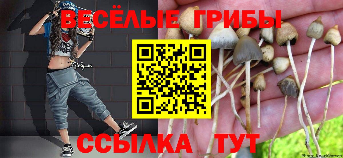 Галлюциногенные грибы Cubensis Рассказово