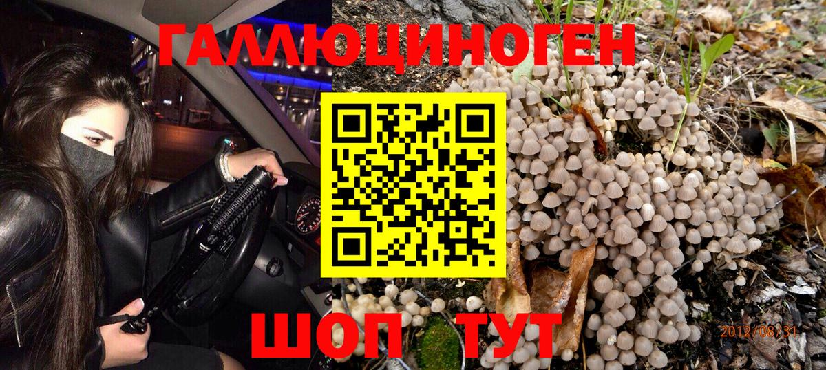 Псилоцибиновые грибы MAGIC MUSHROOMS  Вход с VPN  Рассказово 
